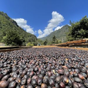 Guatemala El Cabro II Coffee